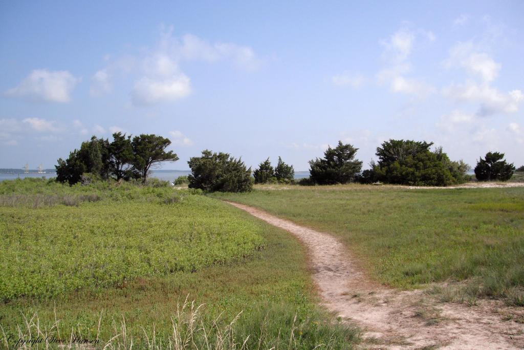 DSCF3117.jpg
