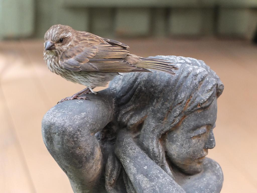 DSCF3979.jpg