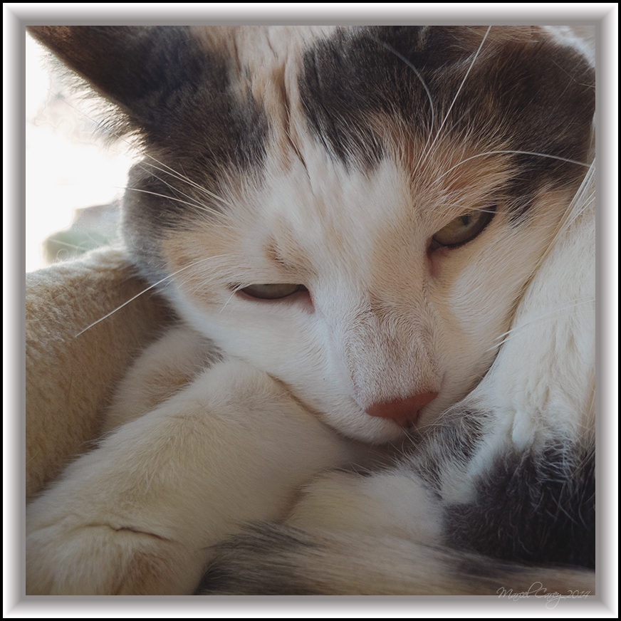 DSCF6011.jpg