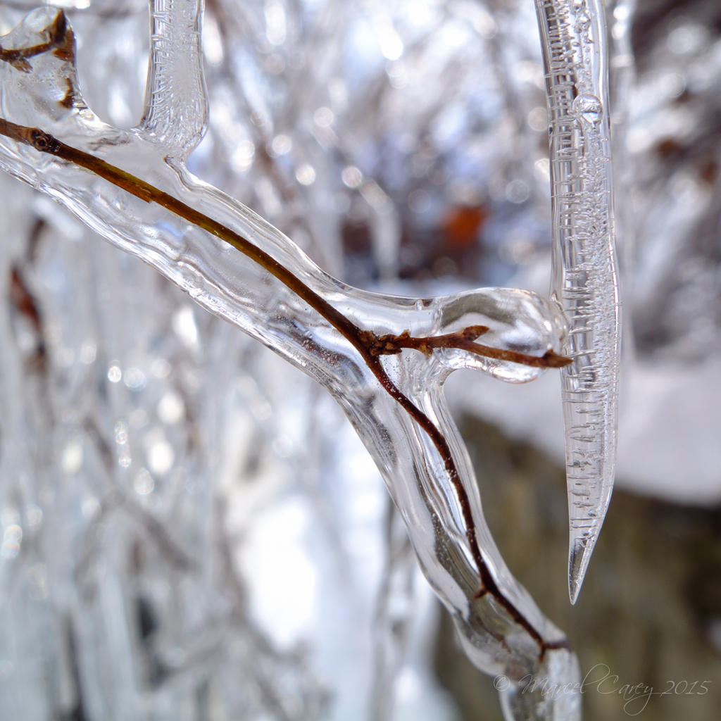 DSCF6070.jpg