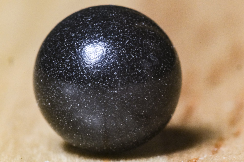 DSCF6527.jpg