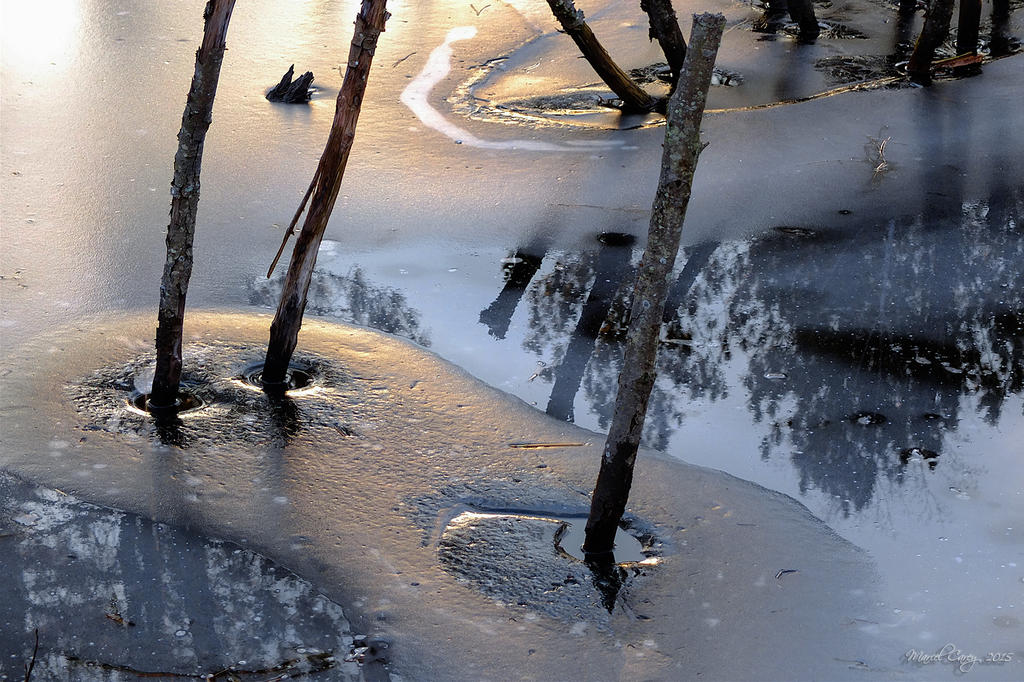 DSCF6980.jpg