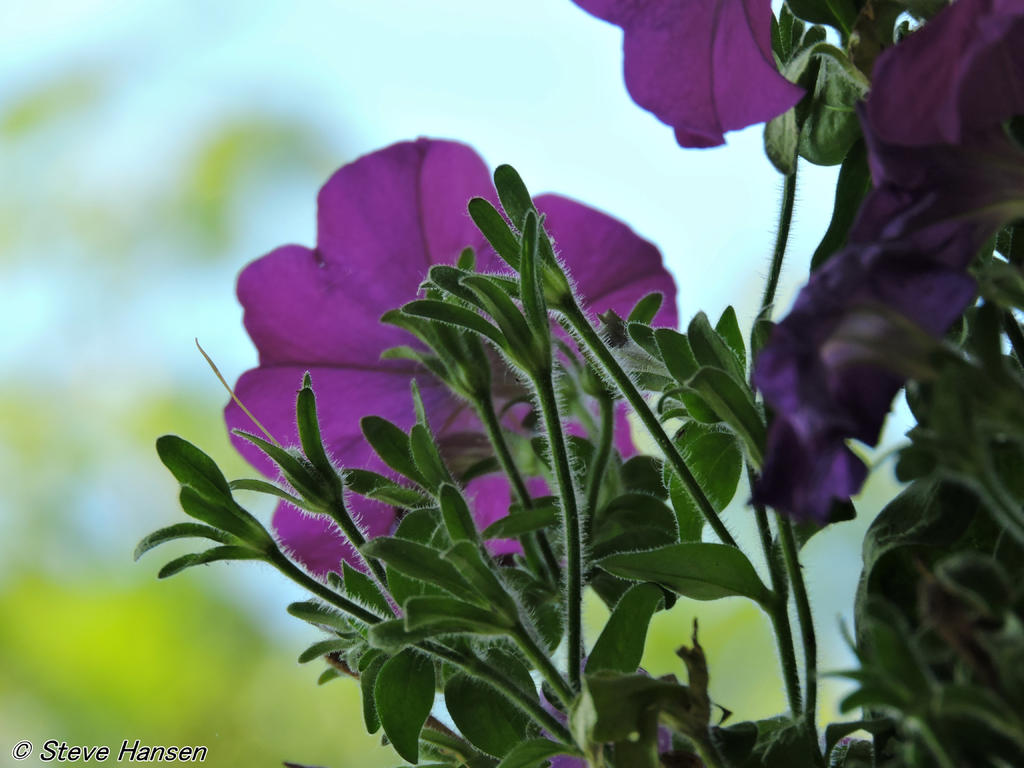 DSCN0006.jpg