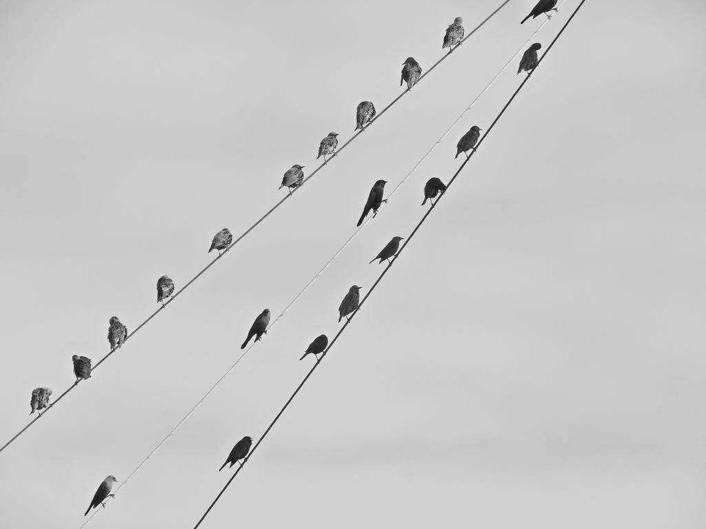 DSCN0012_L.jpg