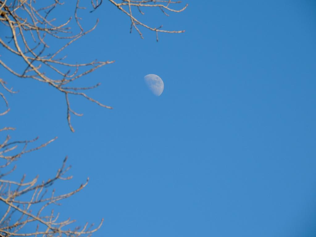 DSCN0018.jpg