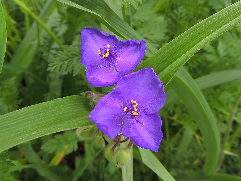 DSCN0037.jpg