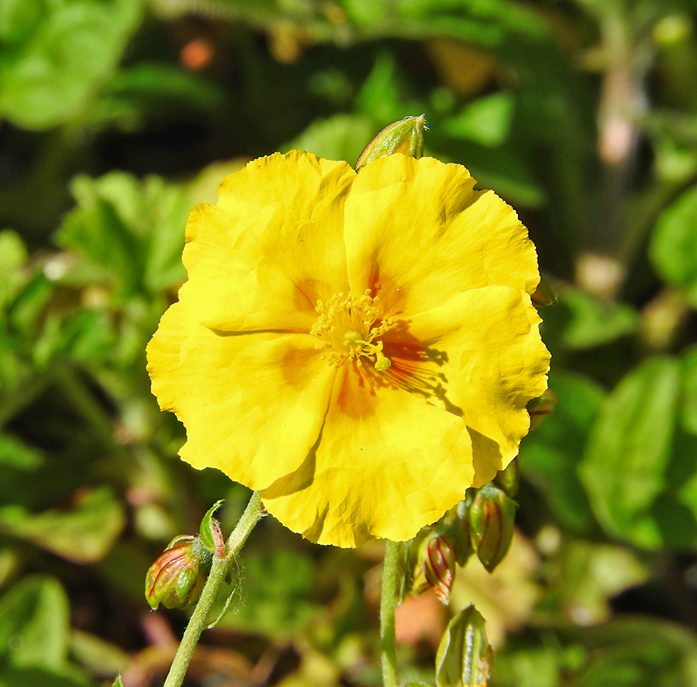 DSCN0049.jpg