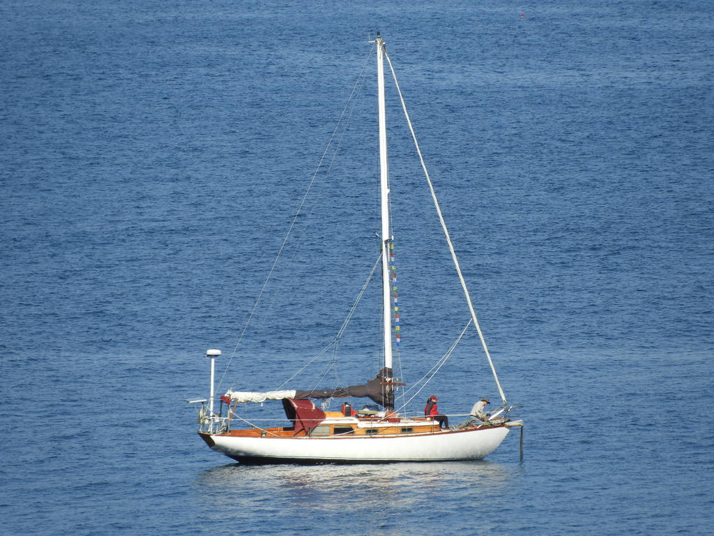 DSCN0050_sm.jpg