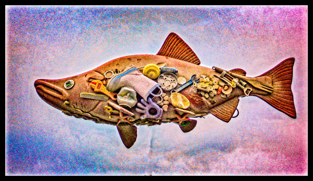 DSCN0062-Edit-2.jpg