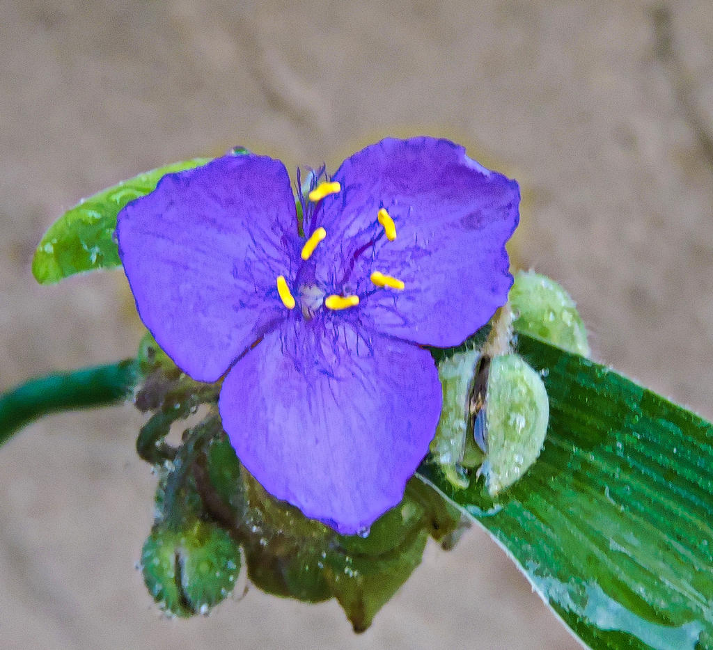 DSCN0086-1.jpg
