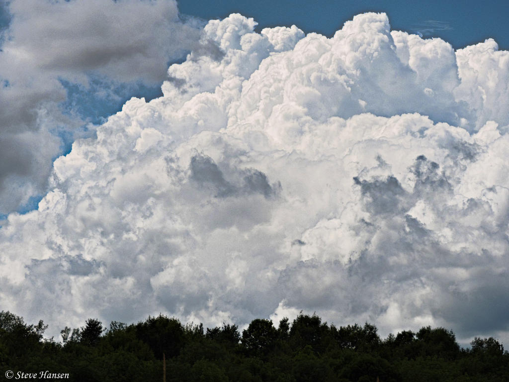 DSCN0108.jpg