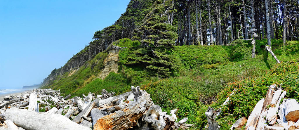 DSCN0113-116_stitch_L sm.jpg
