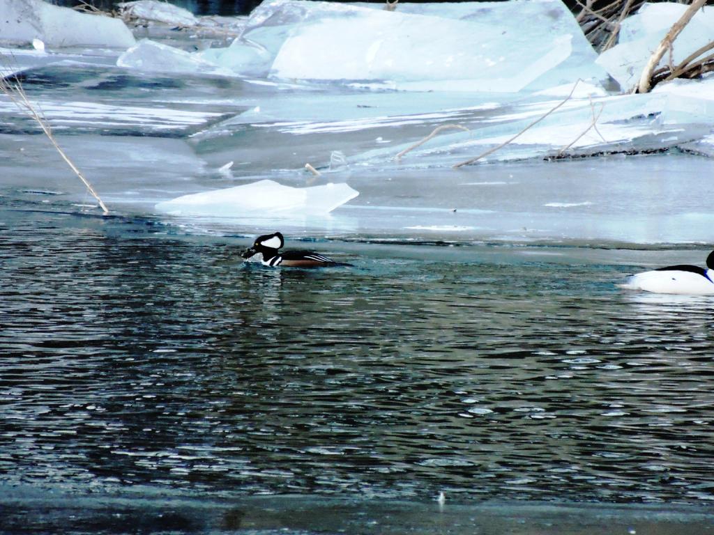 DSCN0118.jpg