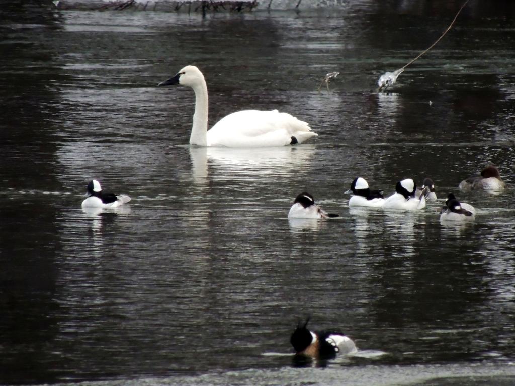 DSCN0127.jpg