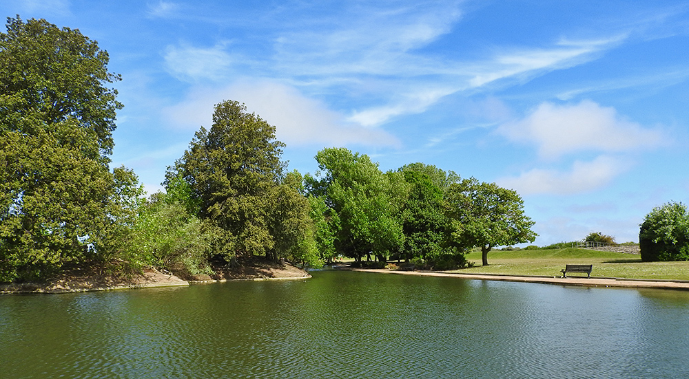 DSCN0157.jpg