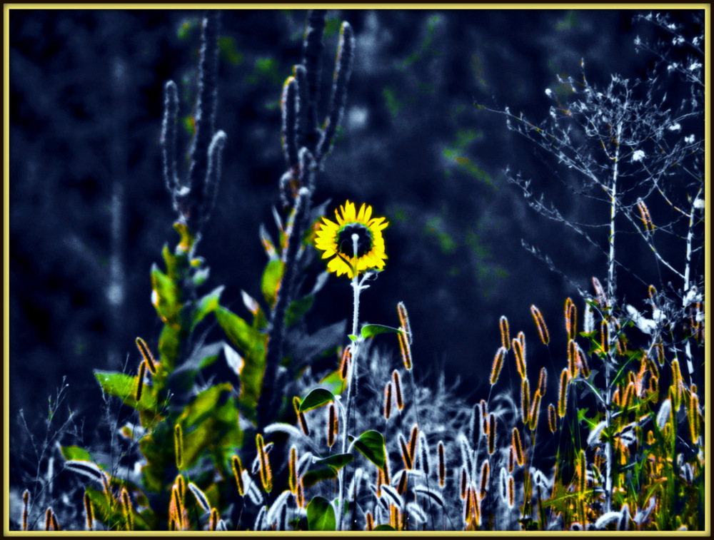DSCN0181.jpg