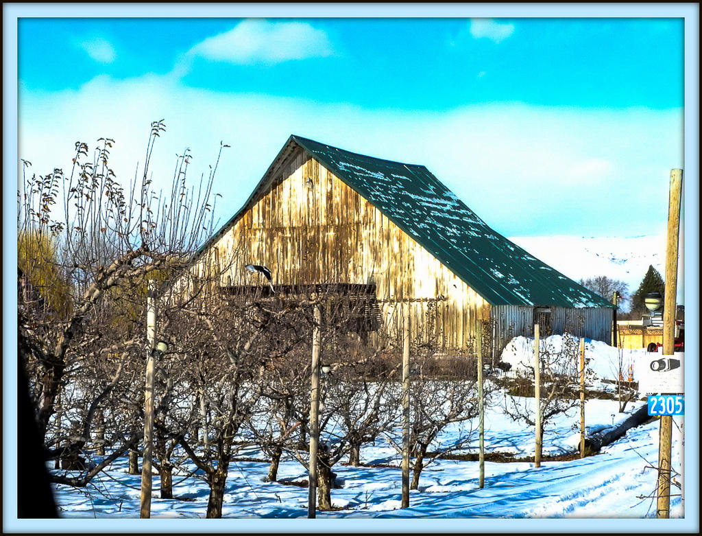 DSCN0182.jpg