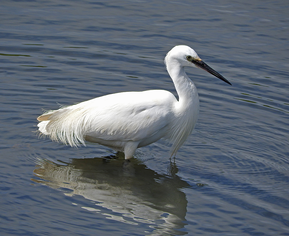 DSCN0195.jpg