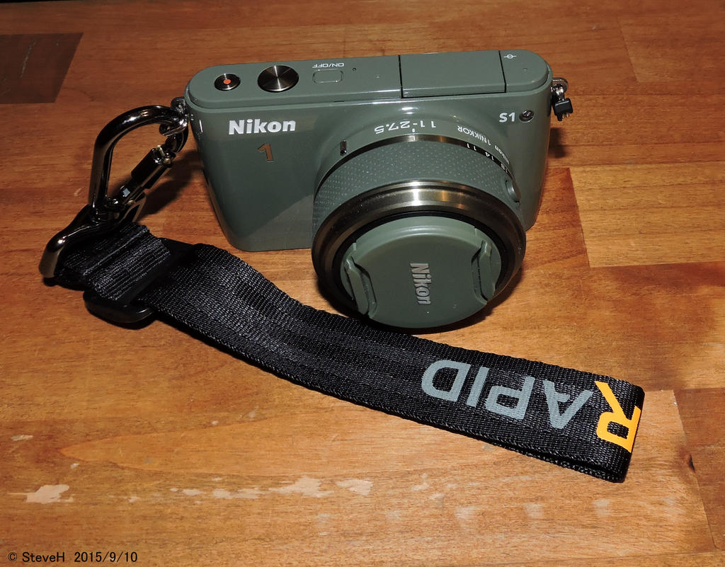 DSCN0202-1.jpg