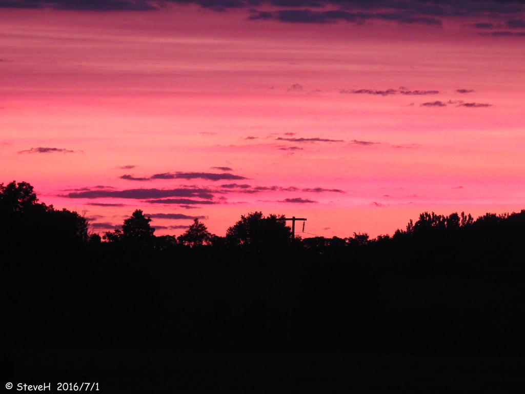 DSCN0225.jpg