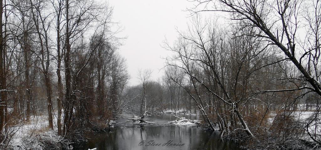 DSCN0230.jpg