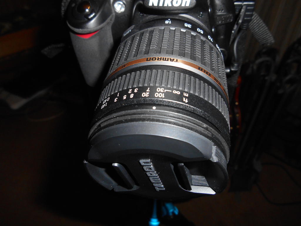 DSCN0231.jpg