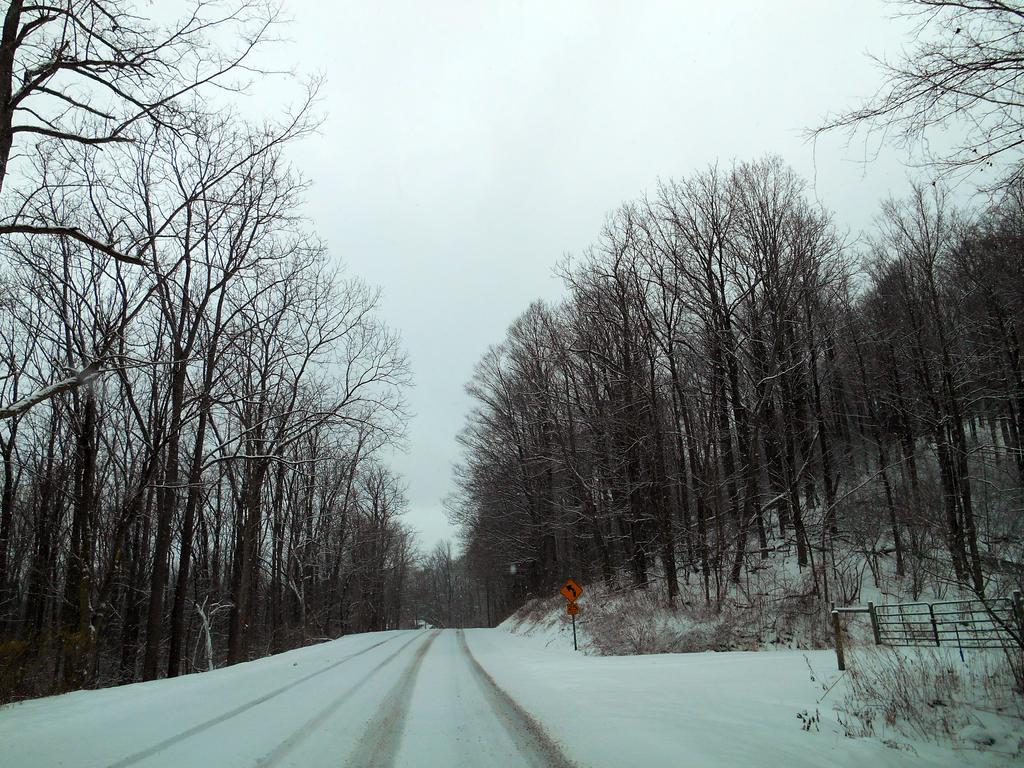 DSCN0240.jpg