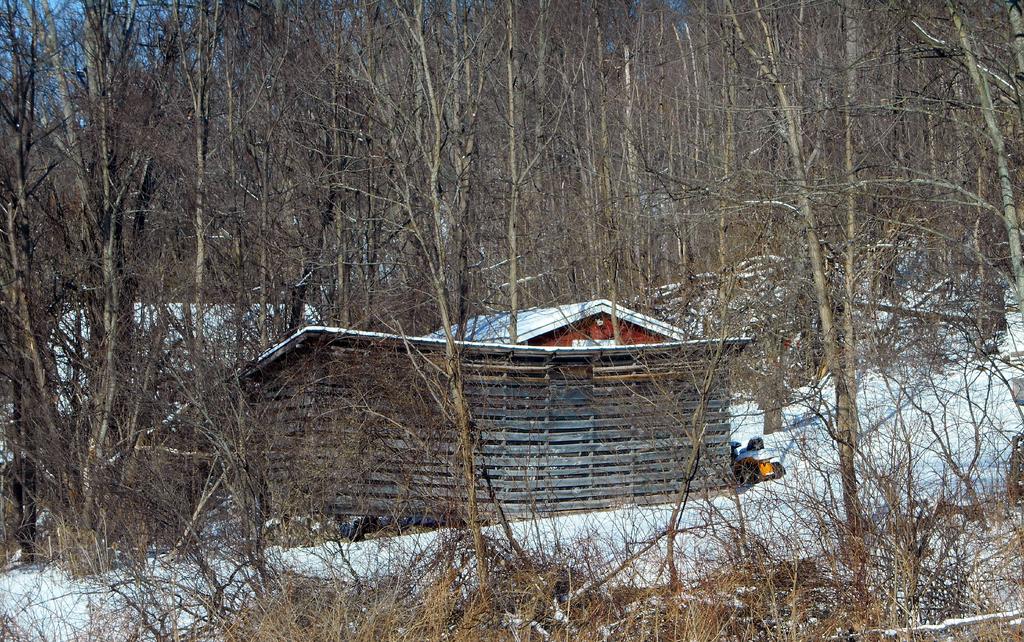 DSCN0256.jpg