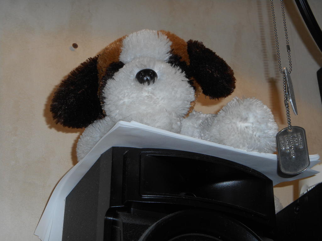 DSCN0265.jpg