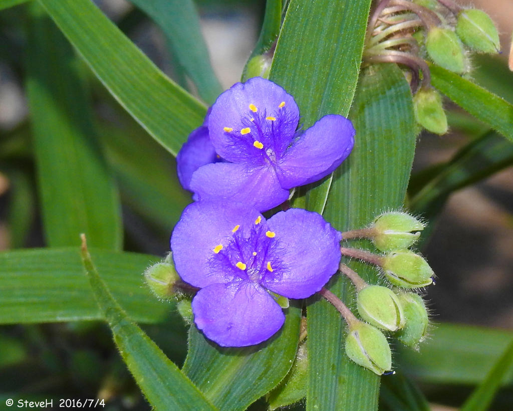 DSCN0301.jpg