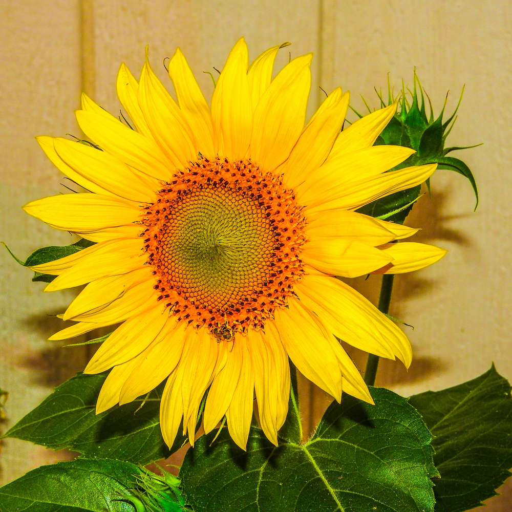 DSCN0302.jpg