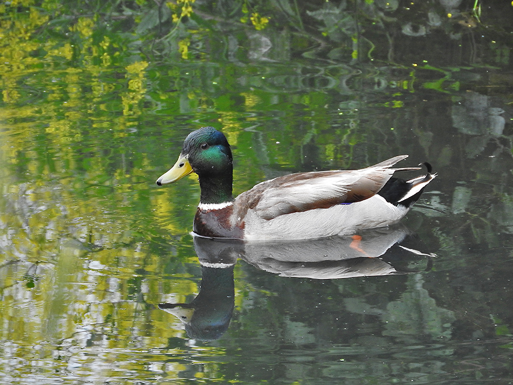 DSCN0308.jpg