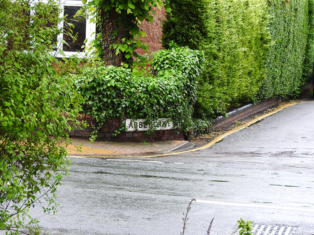 DSCN0330.jpg