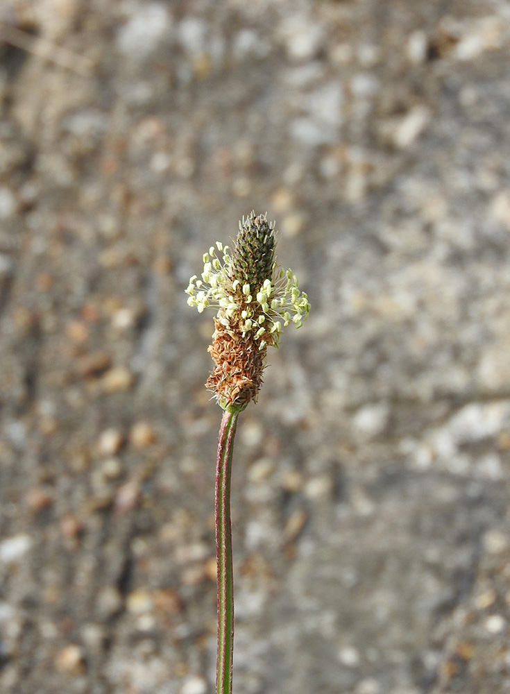 DSCN0356.jpg