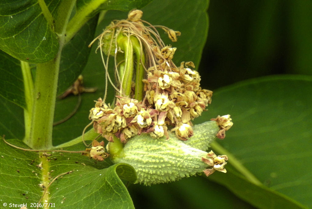 DSCN0381.jpg