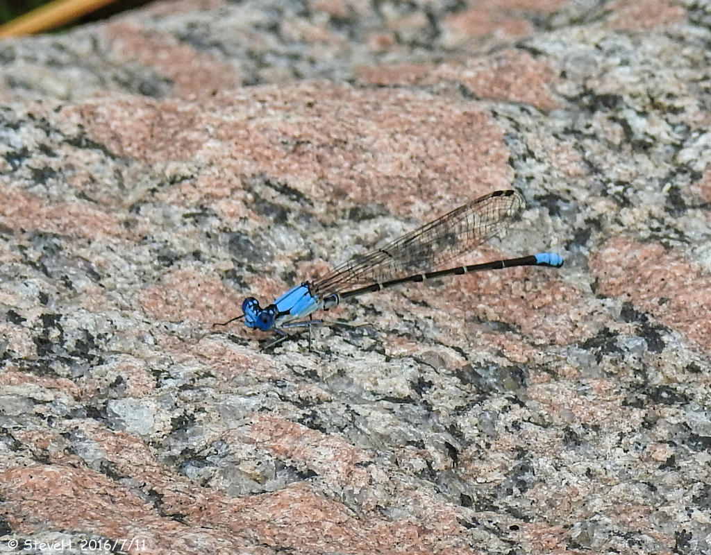 DSCN0404.jpg