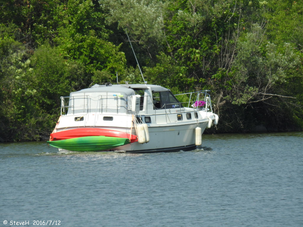 DSCN0407.jpg