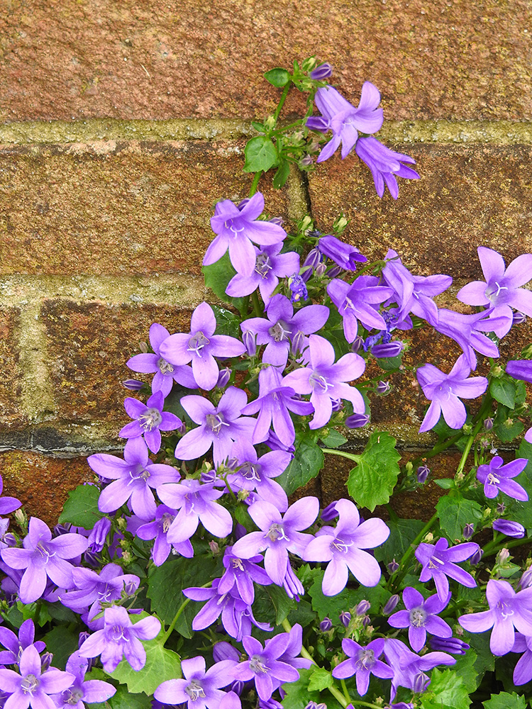 DSCN0430.jpg