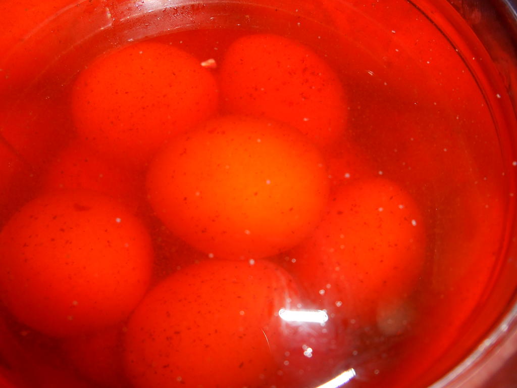 DSCN0440.jpg