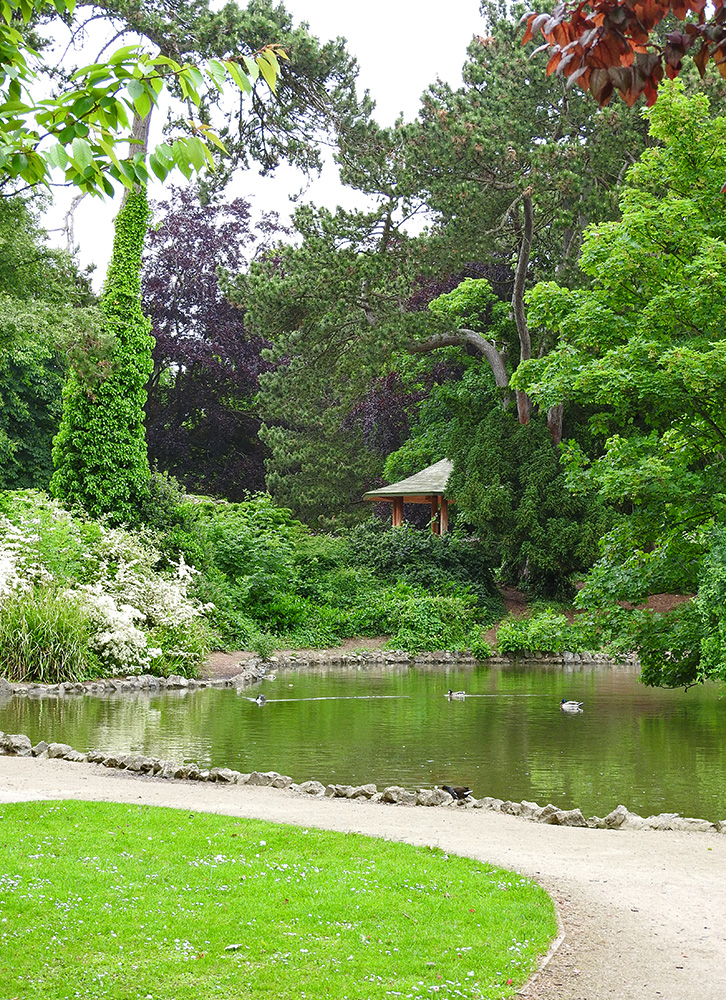DSCN0450.jpg