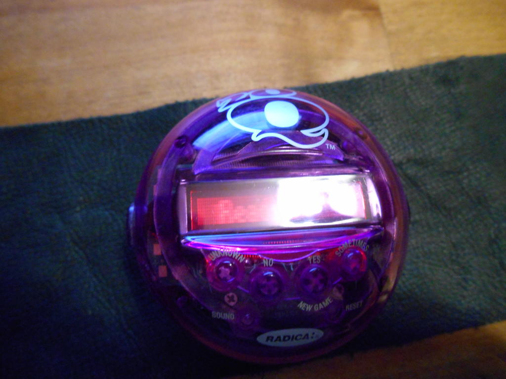 DSCN0469.jpg