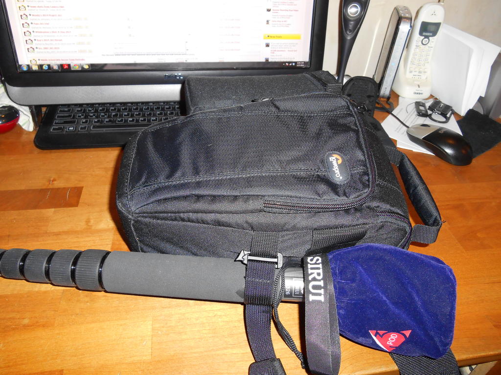 DSCN0483.jpg