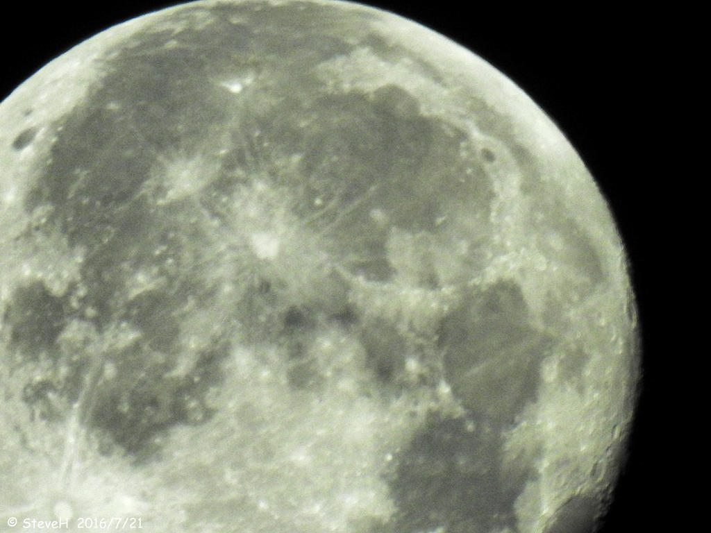 DSCN0503.jpg