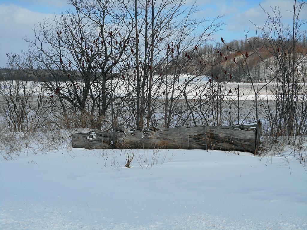 DSCN0510.jpg