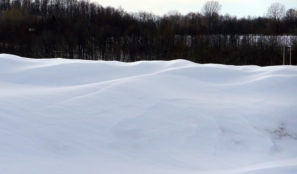 DSCN0511.jpg