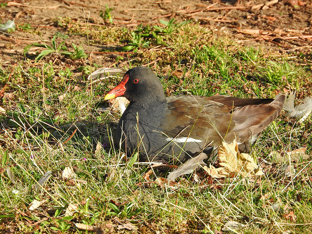 DSCN0513.jpg