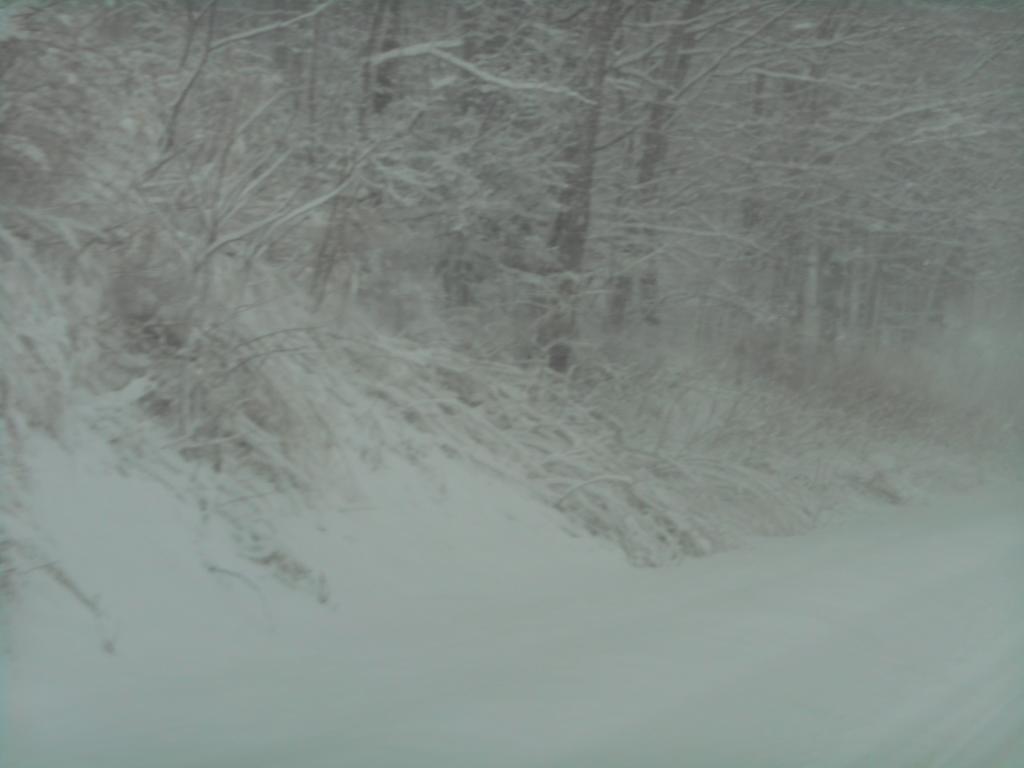 DSCN0539.jpg