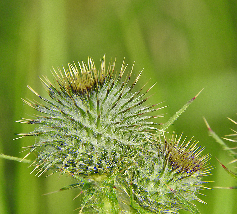 DSCN0544.jpg