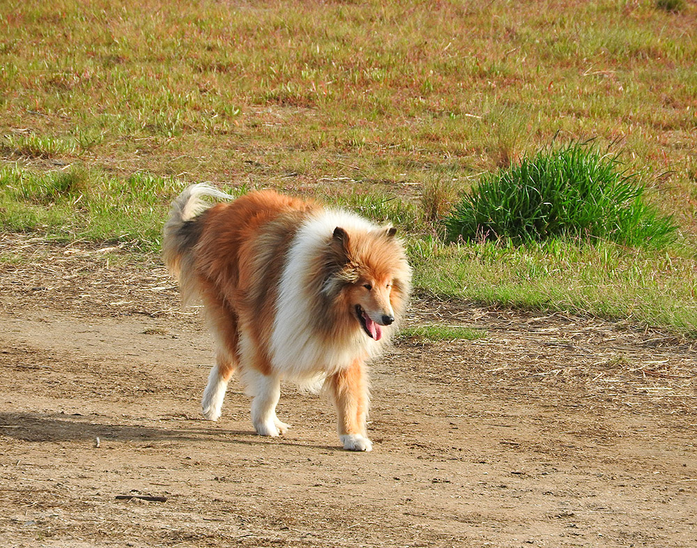DSCN0552.jpg