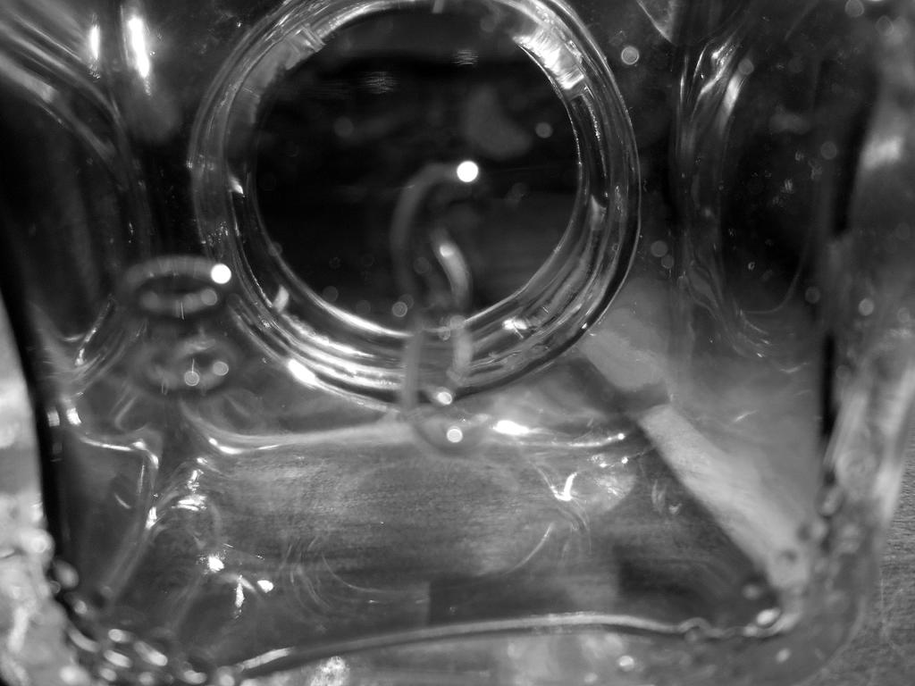 DSCN0560.jpg